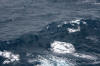 Atlantic crossing equals rough seas