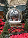 Conservatory at the Bellagio