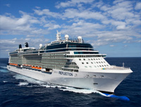 Celebrity Reflection