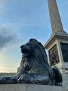 Picturesque Trafalgar Square