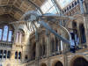 Natural History Museum of London